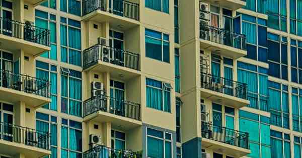 AI绘画万寿菊花朵（万寿菊怎么画简笔画步骤）