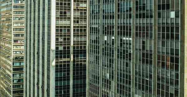 外国语单招大数据的行业文章