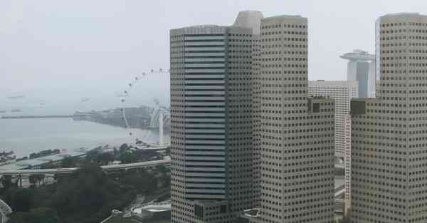 柯南被AI绘画过的样子（动物AI绘画的样子）