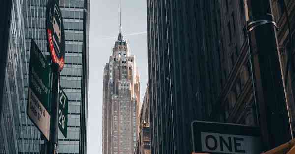 柯南被AI绘画过的样子（动物AI绘画的样子）