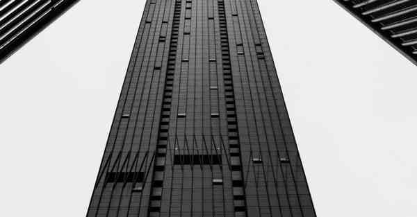 柯南被AI绘画过的样子（动物AI绘画的样子）