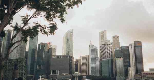 国内最接近CHATGPT的软件