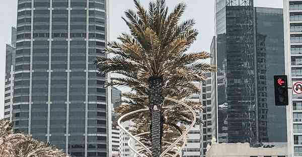 外国语单招大数据的行业文章