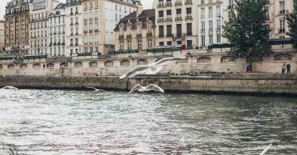 大数据的组成及各部分内容