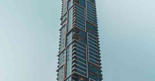 柯南被AI绘画过的样子（动物AI绘画的样子）