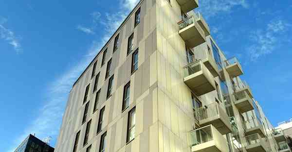 外国语单招大数据的行业文章