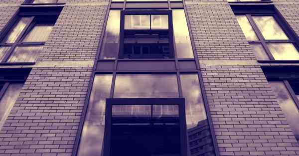 外国语单招大数据的行业文章