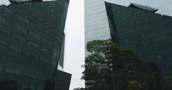 实施大数据营销