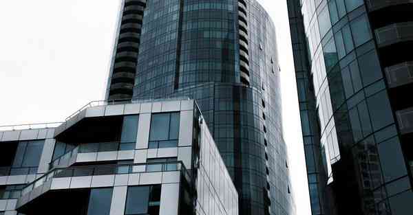 宠物智能机器人VECTOR开箱