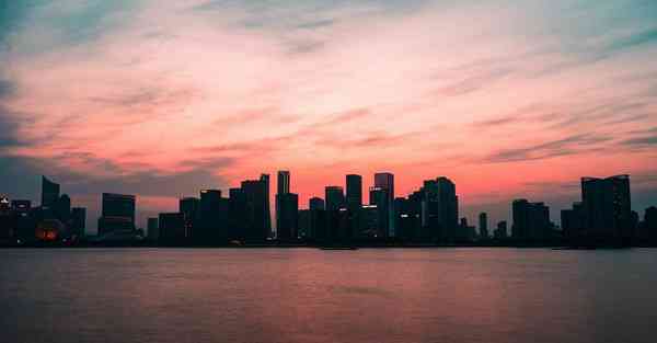 外国语单招大数据的行业文章