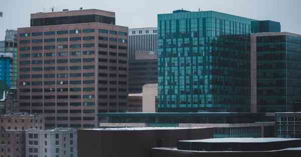 柯南被AI绘画过的样子（动物AI绘画的样子）