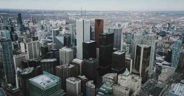 外国语单招大数据的行业文章