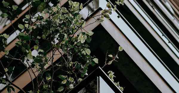 大数据监管的作用（监管大数据应用）